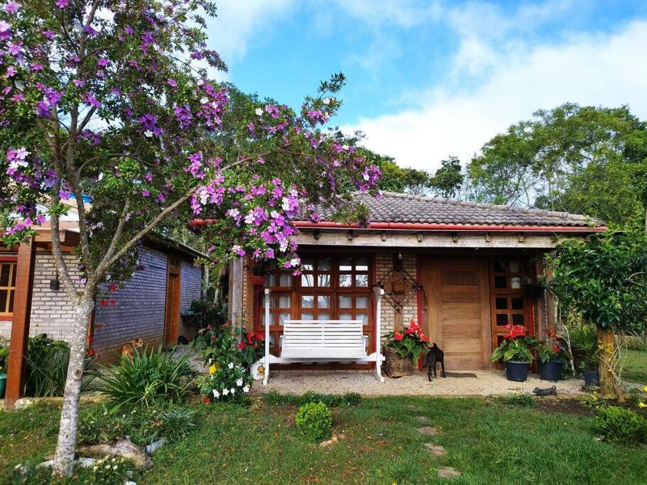Sitio Com Jaccuzi, Fogao A Lenha
